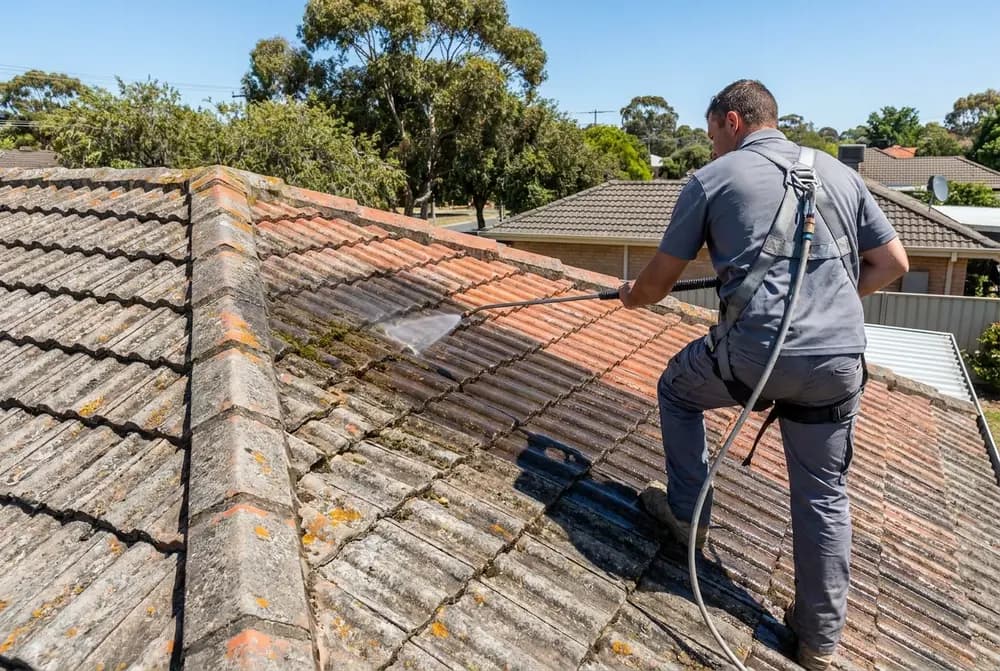 Roof Cleaning in Adelaide (illustrative)